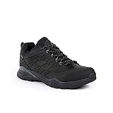 THE NORTH FACE - Hedgehog Hike II GTX, Zapatillas de Senderismo Hombre,...